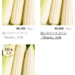 白いとうもろこしのご案内チラシを受け取られた方へ