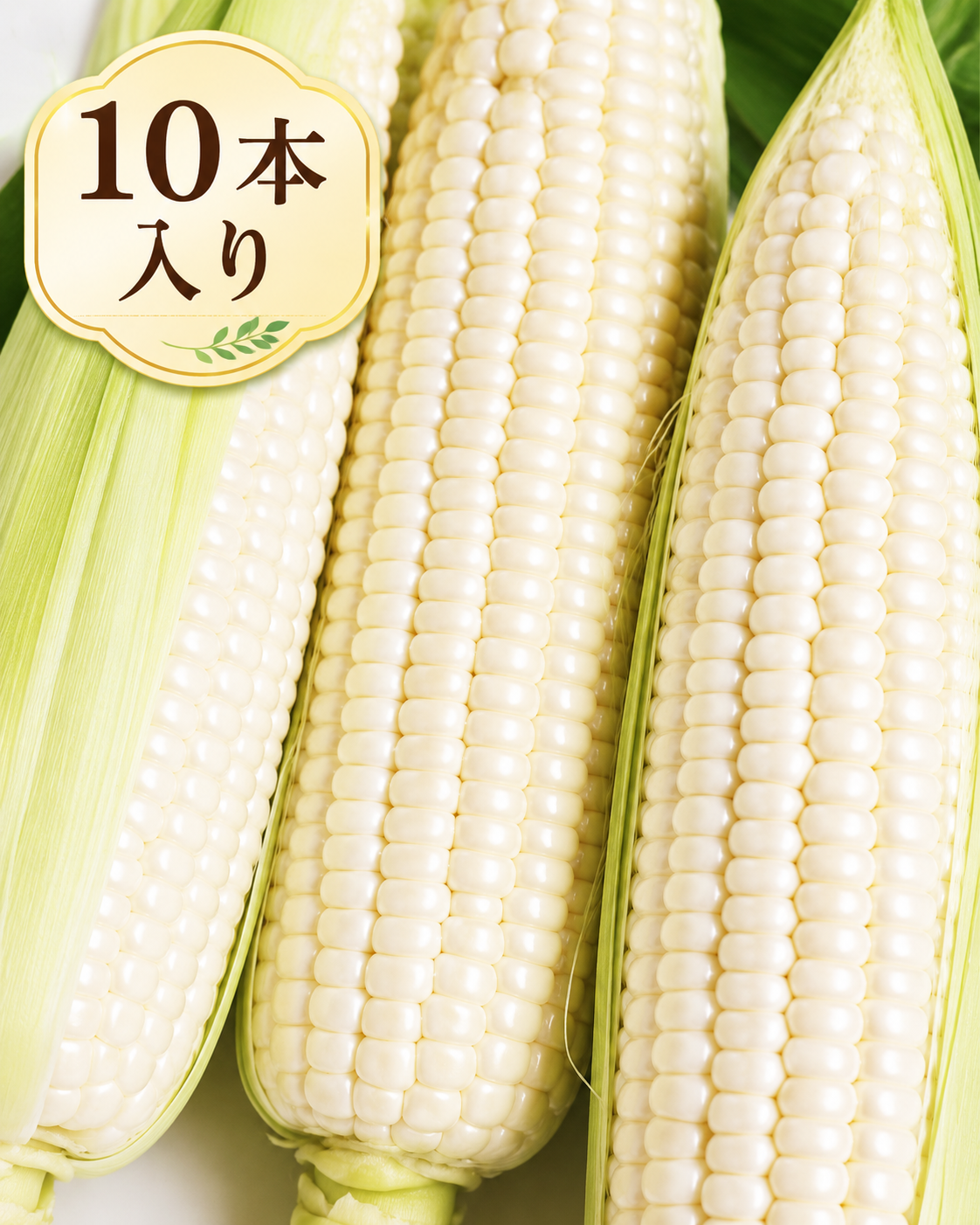 uf01001