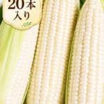 WS20
